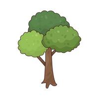 Illustration of tree vector