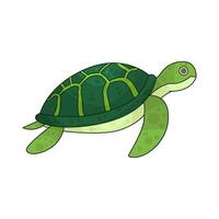 Illustration of turtle vector