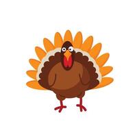 Turkey character on white background. Illustration in flat style. vector