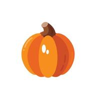 Pumpkin icon in flat style on a white background vector