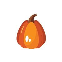 Pumpkin in flat style on a white background vector