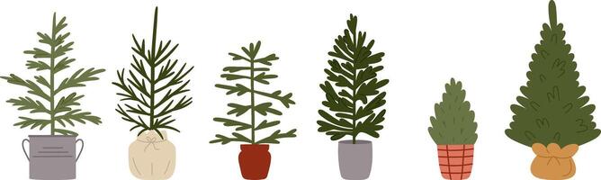 Fir Trees in Potted Set vector