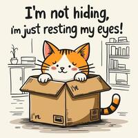Orange Cat Resting in Cardboard Box with Humorous Text vector