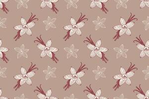 Aromatic spices Vanilla pattern, white contour flowers and vanilla sticks on beige background. vector