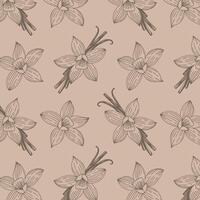 Pattern with aromatic spices Vanilla, pattern with flowers and vanilla sticks on craft beige background. vector