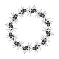Olives branches wreath, hand drawing twigs on white background. vector