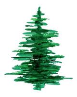 Spruce watercolor tree , handmade green fluffy fir tree. Isolated Christmas design element, New Year celebration, cozy weather concept. For packaging, card, invitation vector