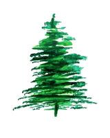 Watercolor spruce tree handmade Green fluffy fir tree. Isolated Christmas design element, New Year celebration, cozy weather concept. For packaging, card, invitation vector