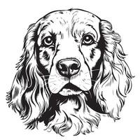 dog breed Cocker Spaniel muzzle, sketch graphics black and white drawing vector