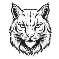 Lynx. Sketch, drawn, graphic portrait of a lynx head on a white background vector