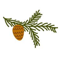 Cones on fir branch. Coniferous plant twig. Conifer tree sprig with fircones. Green needle spruce, botanical winter design element. Flat illustration isolated on white background vector
