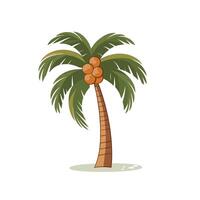Palm tree with coconuts against a simple background showcasing tropical vibes vector