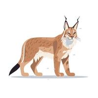 Lynx walking gracefully through a snowy landscape displaying its elegant fur and alert posture during winter vector