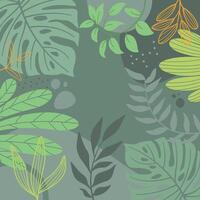 Green spring background with tropical plants. vector