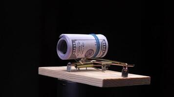 Mousetrap with roll of dollar banknotes luring on black background video