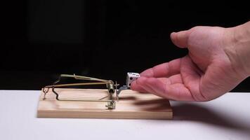 Hand reaching towards mouse trap with dice video
