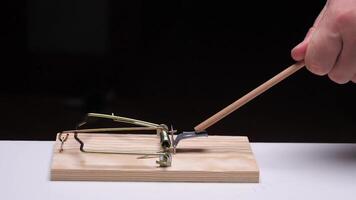 Hand setting off mousetrap with wooden stick on black background video