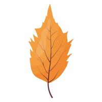 autumn colored bright leaf highlighted vector