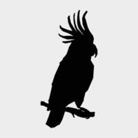 Bird animal icons of black color vector