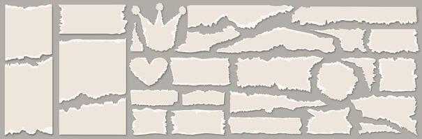 Collection of white torn paper textures vector