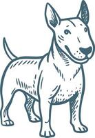 Charming Bull Terrier Illustration for Design and Decor Projects vector