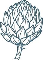 Detailed Artichoke Sketch Illustration for Culinary and Botanical Use vector