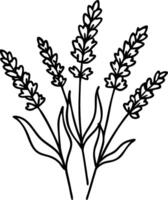 Elegant Lavender Line Art Botanical for Aromatherapy and Design Projects vector