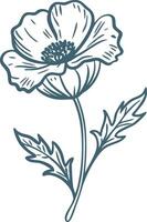Hand Drawn Elegant Poppy Flower Illustration for Design Projects vector
