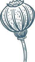 Hand Drawn Poppy Seed Pod Illustration Botanical Art vector