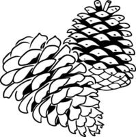 Pine Cone Illustration Nature Element Decorative Design vector