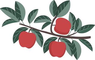Red Apples on Tree Branch with Lush Green Leaves Illustration vector