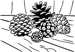 Realistic Pine Cones Illustration Forest Nature Design vector