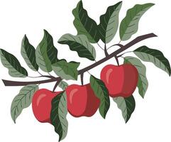 Red Apples on Branch with Green Leaves Illustration vector
