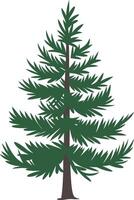Illustration Evergreen Pine Tree Nature Design vector