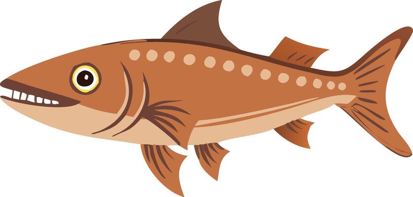 Illustration of Colorful Salmon Fish for Educational and Graphic Design Use