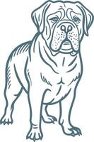 Illustration of Loyal Dog Breed Perfect for Pet-Themed Designs and Decor vector