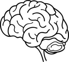 Illustration of Human Brain Anatomy Line Art for Educational Use vector