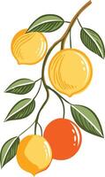 Vibrant Citrus Branch Illustration with Lemons and Orange Fruit vector