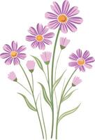 Vibrant Pink and Purple Daisies Art for Botanical Design Use vector