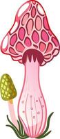 Vibrant Pink and Yellow Mushrooms for Botanical Designs and Art Projects vector