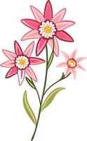 Vibrant Pink and Red Floral Illustration for Design and Decoration vector