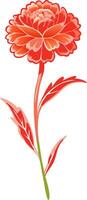 Vibrant Red Marigold Illustration for Design and Decorative Use vector