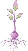 Vibrant Seedling with Roots and Leaves Illustration vector