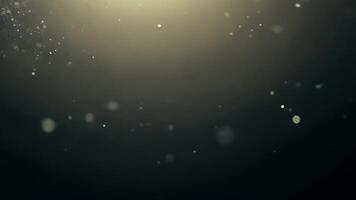 This captivating showcases natural dust particles gently floating against a black background. The slow, serene movement creates a peaceful and organic atmosphere video
