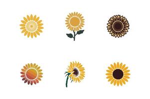 Sunflowers set on white background vector