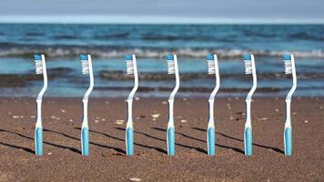 Row of blue and white plastic toothbrushes stuck on beach video