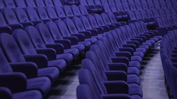 Soft theater armchairs at bright colorful flashing lights video