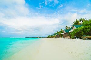 A beach with white sand and palm trees photo