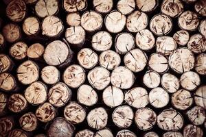 A pile of logs is shown in this photo