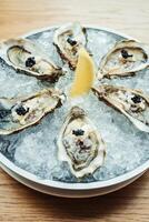A plate of oysters with a lemon wedge on top photo